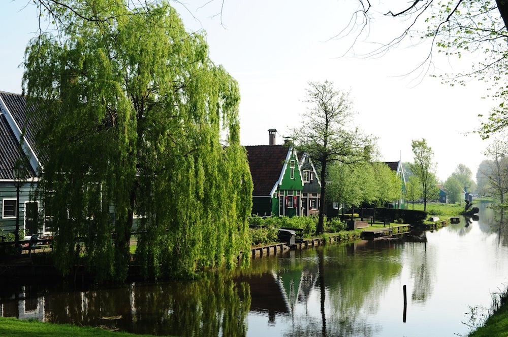 viaggio-in-olanda-foto-roberto-sibilano-15