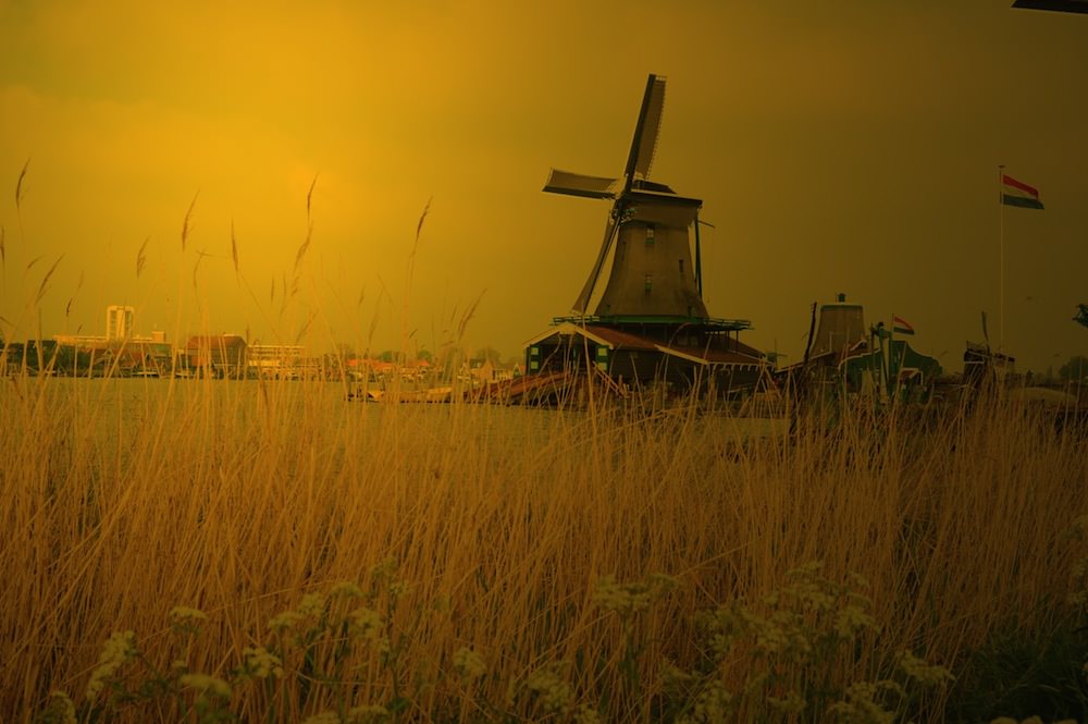 viaggio-in-olanda-foto-roberto-sibilano-26