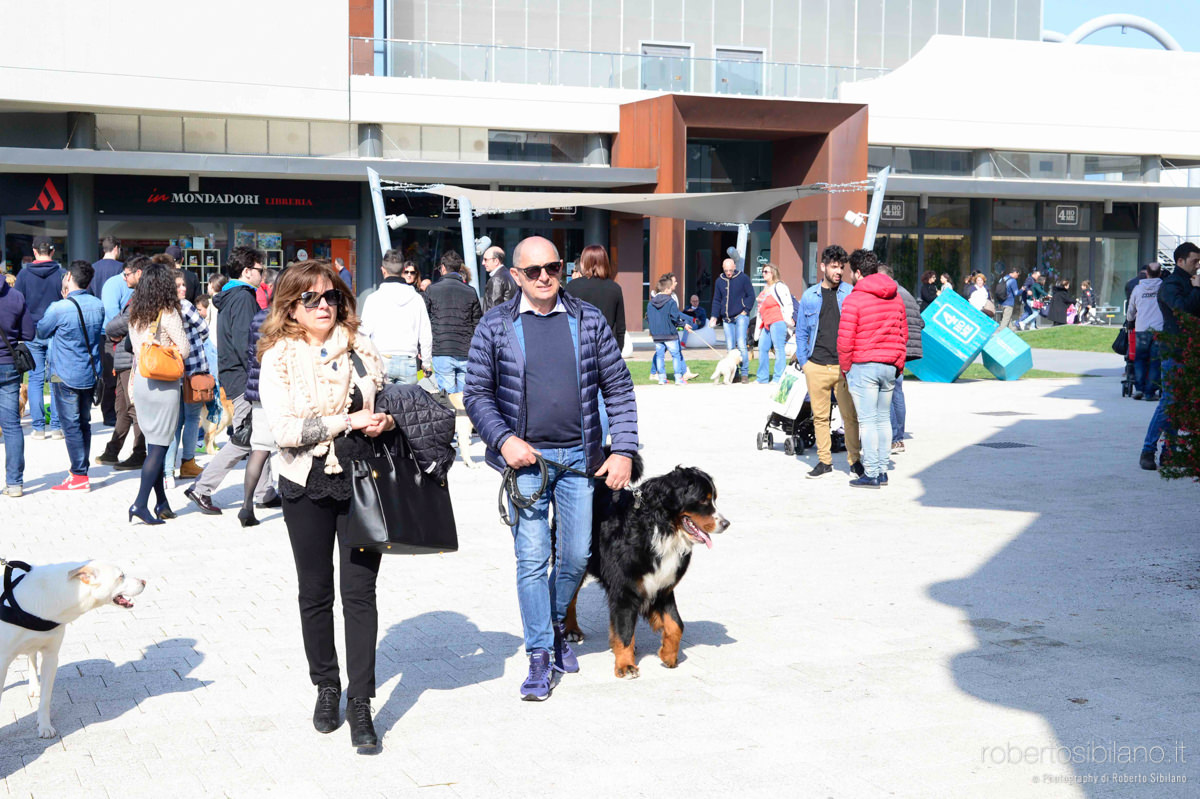 Una domenica da cani - Edoardo Stoppa