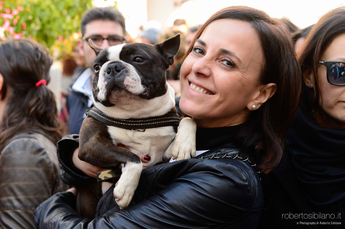 Una domenica da cani - Edoardo Stoppa