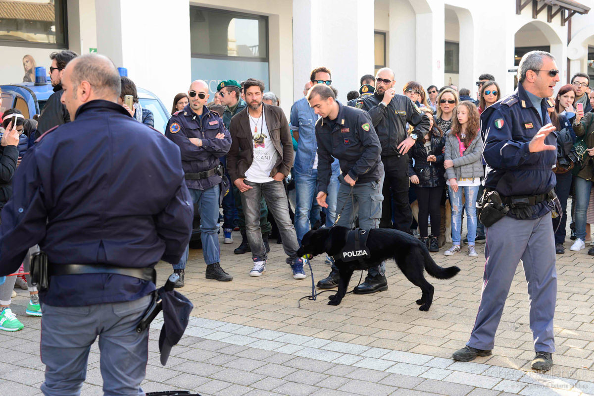 Una domenica da cani - Edoardo Stoppa