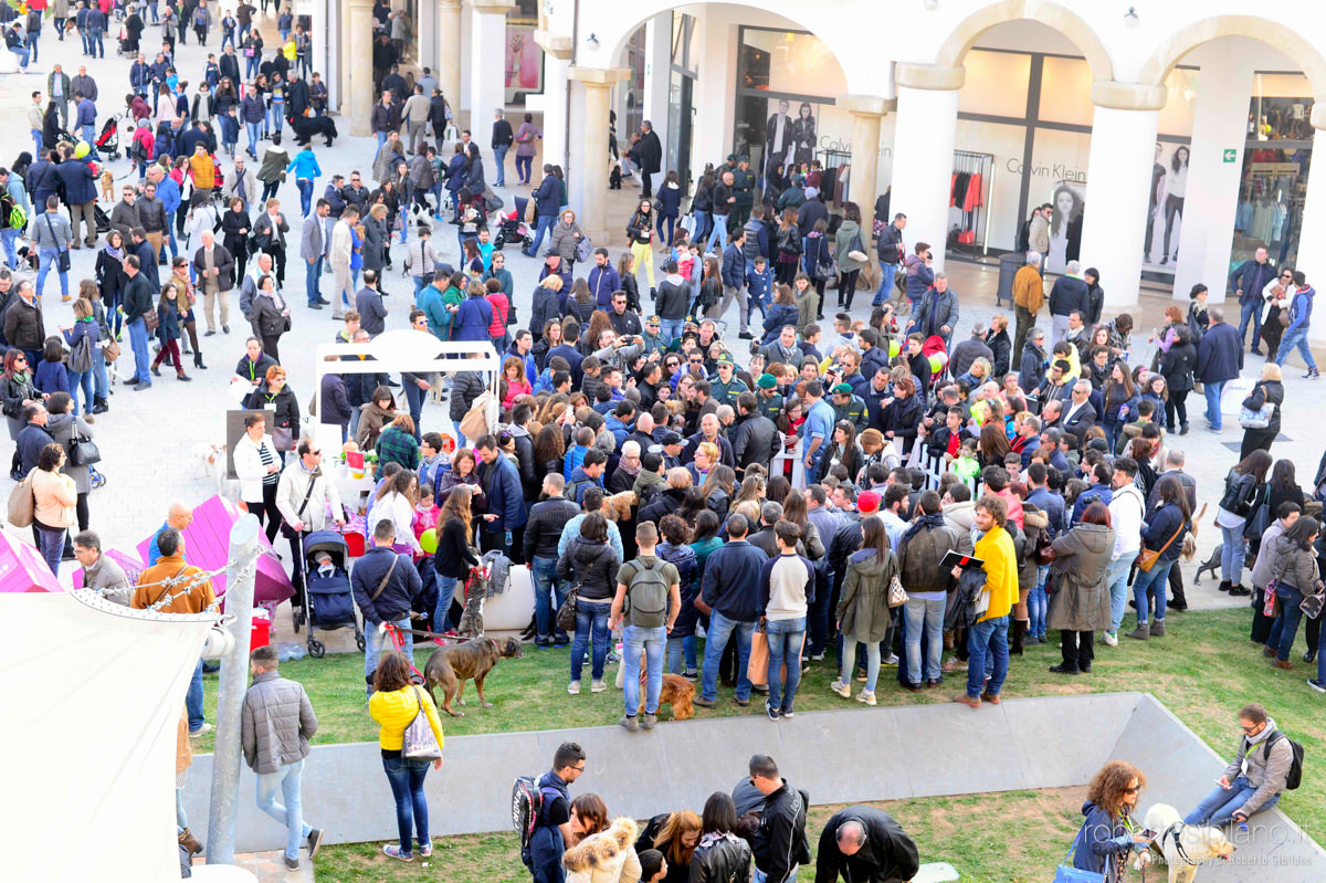 Una domenica da cani - Edoardo Stoppa